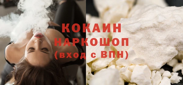 стаф Аркадак