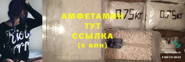 стаф Аркадак