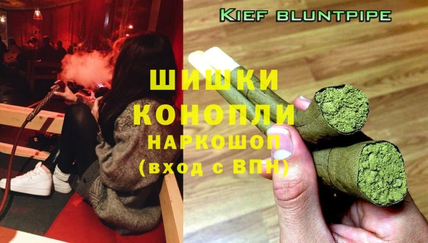 стаф Аркадак