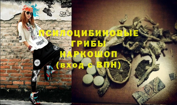 бутират Арсеньев